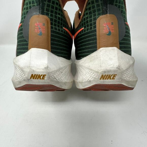 Nike x Hola Lou Air Zoom Pegasus 39 A.I.R. Men\'s 11 D09500-300 Green Running main image 12